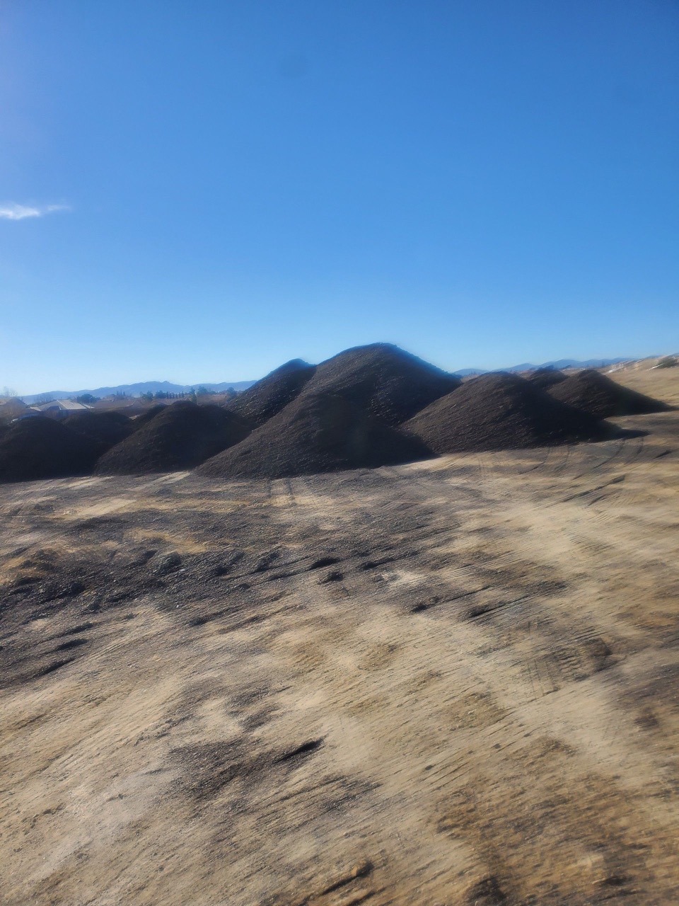 Resized_Resized_20220218_084856001